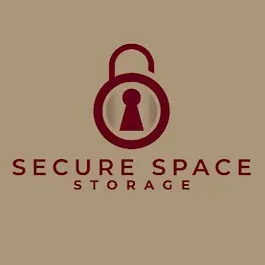 Secure Space logo
